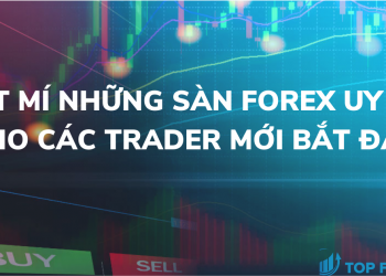 Bật mí những sàn forex uy tín cho các trader mới bắt đầu