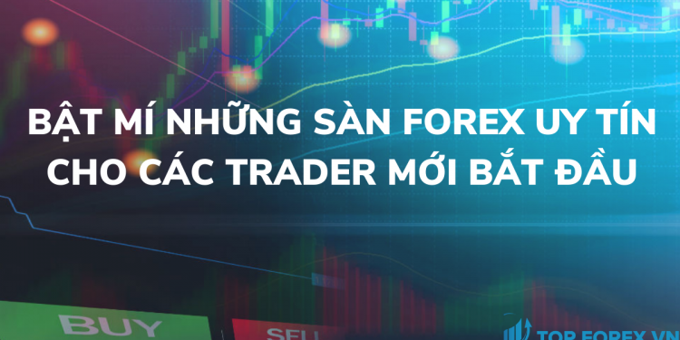 Bật mí những sàn forex uy tín cho các trader mới bắt đầu
