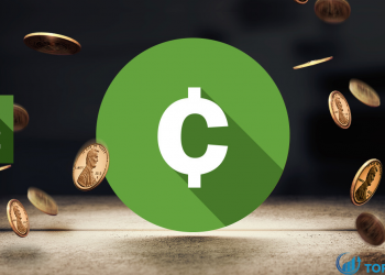 FBS là gì Các chuyên gia đánh giá như thế nào về FBS