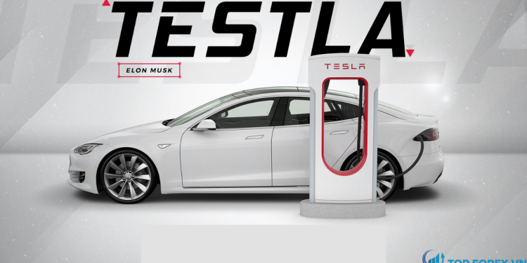 Sự tăng giá của Tesla góp phần gia tăng sự thống trị của những người chơi lớn nhất trong S&P 500
