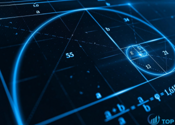 Dãy số Fibonacci là gì Hướng dẫn chiến lược giao dịch Fibonacci