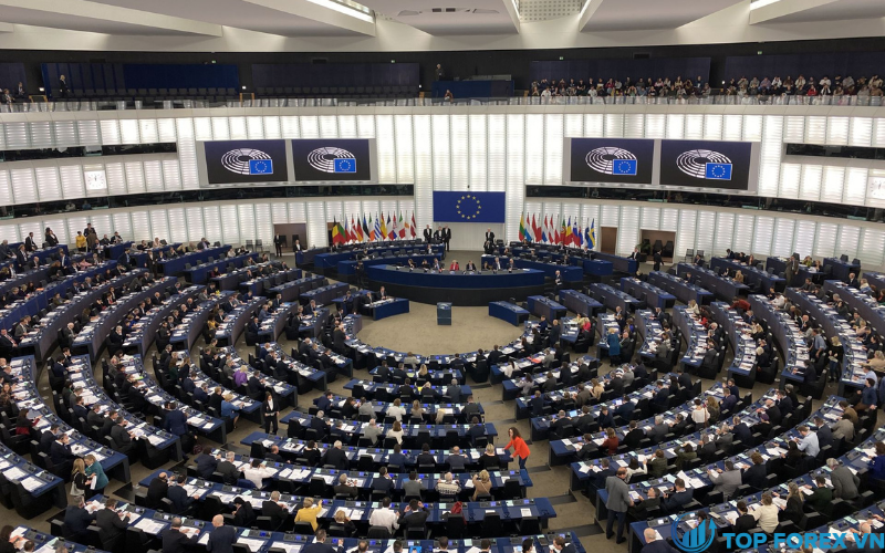 Nghị viện Châu Âu (MEP)