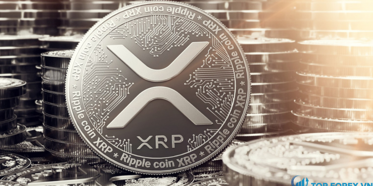 SEC kiện Ripple vì gian lận chứng khoán khi bán tiền điện tử XRP