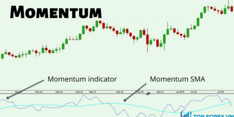 Giới thiệu chi tiết về chỉ báo Momentum và cách tính Momentum