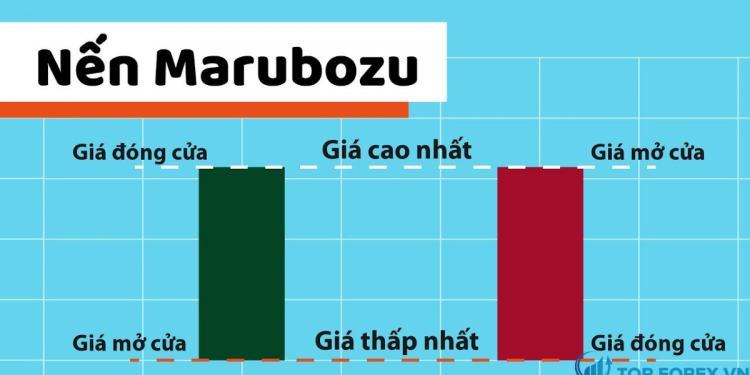 Giới thiệu chi tiết về mô hình nến Marubozu