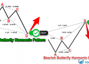 Phân tích kỹ thuật trong giao dịch bằng mô hình Butterfly pattern