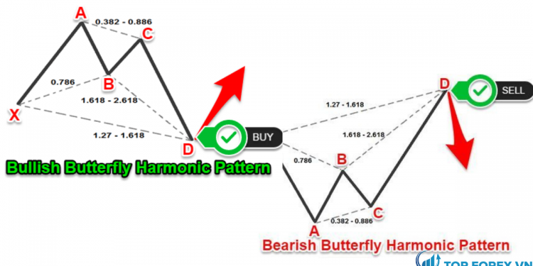 Phân tích kỹ thuật trong giao dịch bằng mô hình Butterfly pattern
