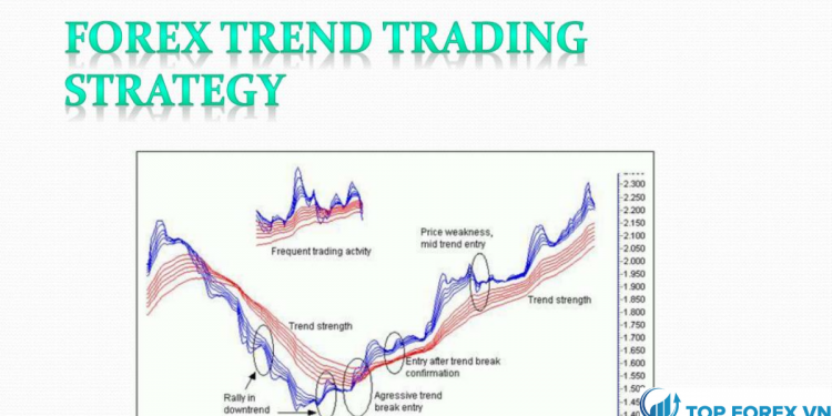 Phương pháp giao dịch theo xu hướng trong forex