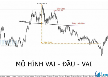 Giới thiệu chi tiết về mô hình vai đầu vai