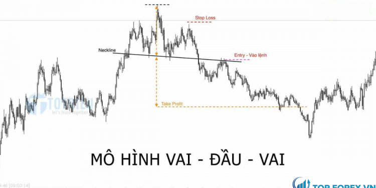 Giới thiệu chi tiết về mô hình vai đầu vai