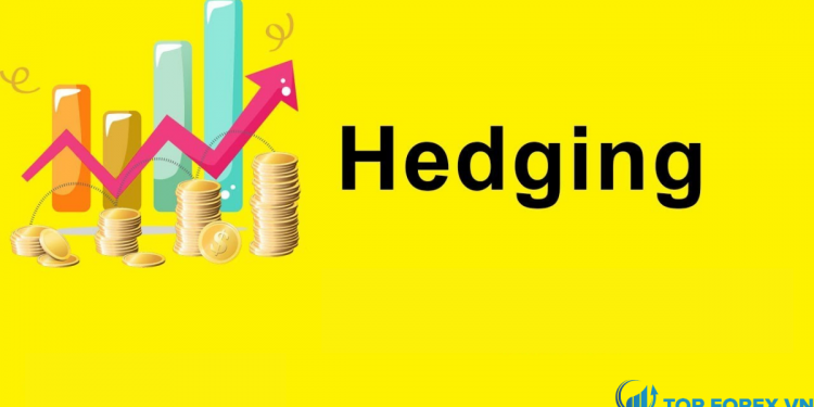 Hedging là gì Giới thiệu kiến thức cơ bản về hedging khi giao dịch