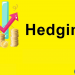 Hedging là gì Giới thiệu kiến thức cơ bản về hedging khi giao dịch