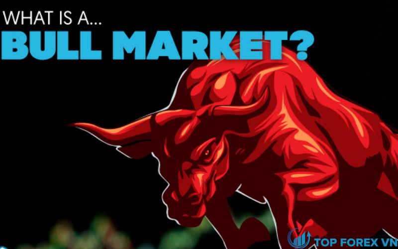 Bull Market và Bear Market
