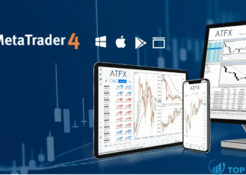 MT4 là gì Nắm vững các kiến thức về phần mềm MT4