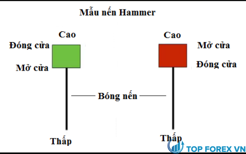 Mô hình nến Hammer