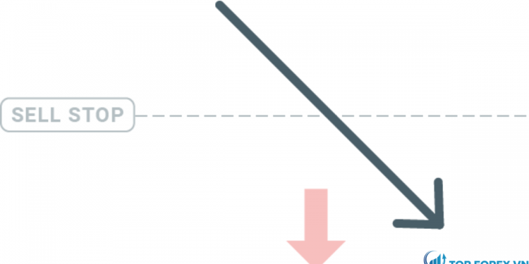 Sell stop là gì Có nên sử dụng sell stop hay không
