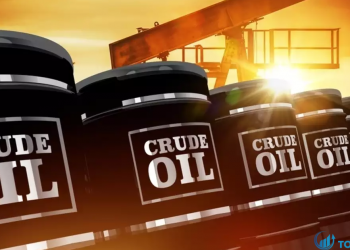 Triển vọng kỹ thuật dầu thô Các mức cần theo dõi