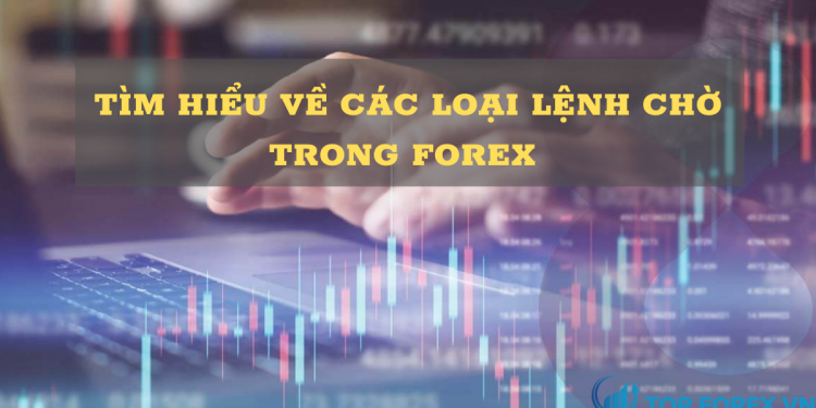 Lệnh chờ trong Forex là gì? Cách sử dụng hiệu quả chúng