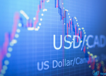 USD / CAD giảm nhanh, đô la Canada tăng vọt