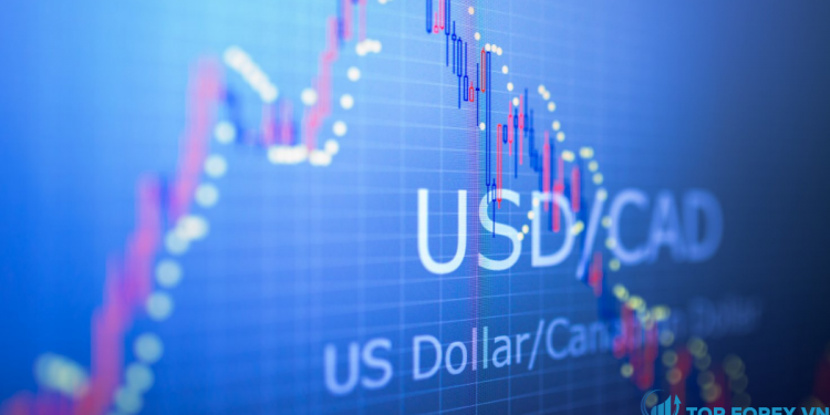 USD / CAD giảm nhanh, đô la Canada tăng vọt