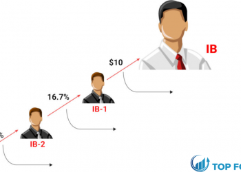 Vai trò và trách nhiệm của một Introducing Broker