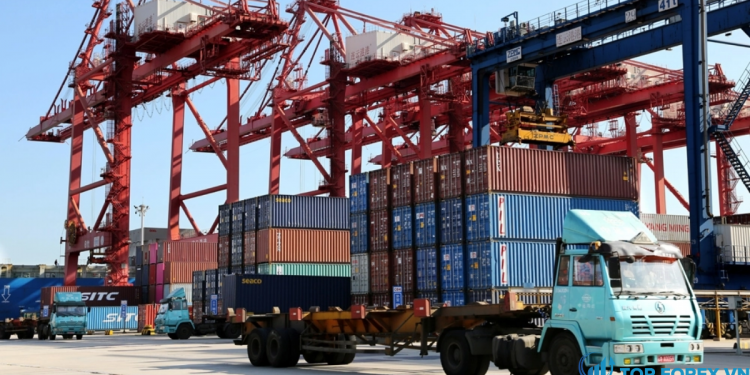 Xuất khẩu của Nhật Bản giảm do Trung Quốc, nhu cầu của Mỹ suy yếu