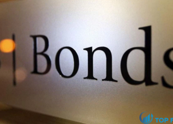 Đầu tư trái phiếu là gì Có nên đầu tư trái phiếu hay không