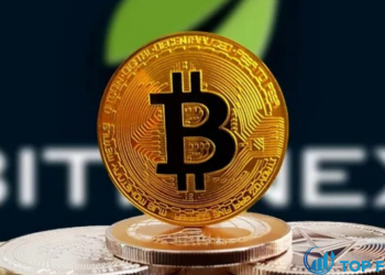 Dự báo giá Bitcoin Mô hình biểu đồ tăng giá khởi đầu cho đợt phục hồi