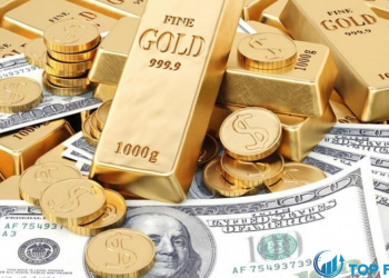 Dự báo giá vàng Hành động giá XAU USD đã chính thức chạm đáy