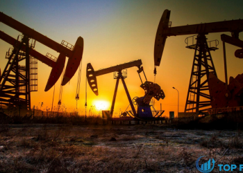 Giá dầu giữ gần mức cao nhất trong một tháng khi dự báo nhu cầu tăng lên