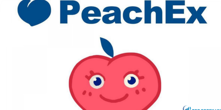 Review sàn giao dịch PeachEX cho các trader