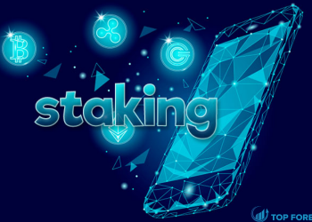 Staking là gì? Những điều cần biết về Staking