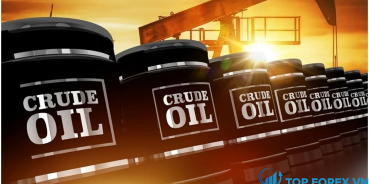 Dự báo giá dầu Dầu thô hình thành hai đỉnh vào tháng 5
