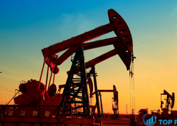 Dự báo giá dầu Sự hình thành hai đỉnh còn nguyên vẹn trước cuộc họp của OPEC