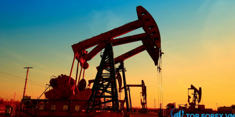 Dự báo giá dầu Sự hình thành hai đỉnh còn nguyên vẹn trước cuộc họp của OPEC