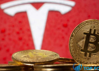 Elon Musk cho biết Tesla sẽ ngừng chấp nhận thanh toán bằng Bitcoin