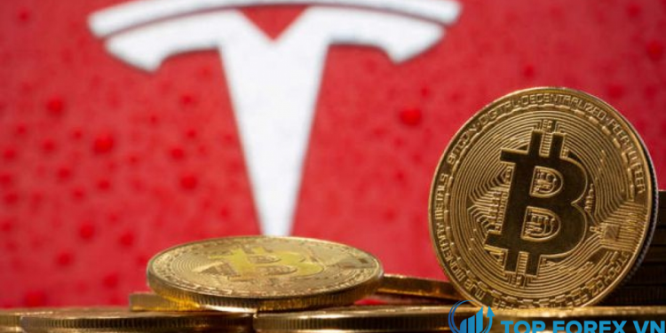 Elon Musk cho biết Tesla sẽ ngừng chấp nhận thanh toán bằng Bitcoin