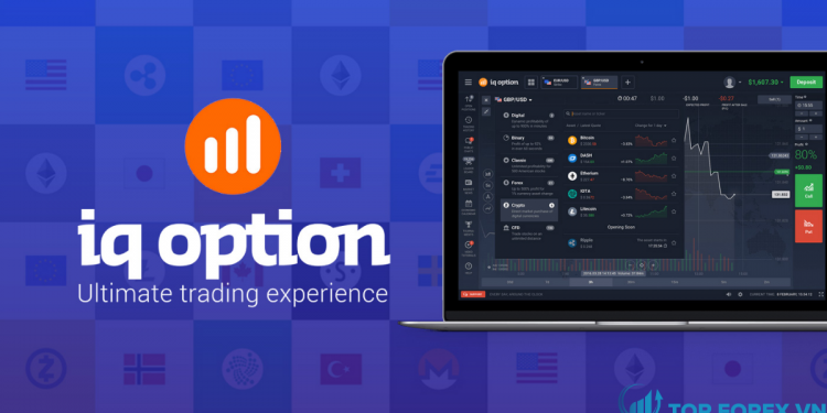 IQ Option là gì Đánh giá sàn IQ Option mới nhất