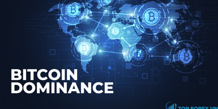 BTC dominance là gì Cách hoạt động của BTC dominance
