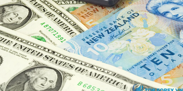 Đồng đô la New Zealand phải đối mặt với áp lực sau khi nới rộng thâm hụt tài khoản vãng lai