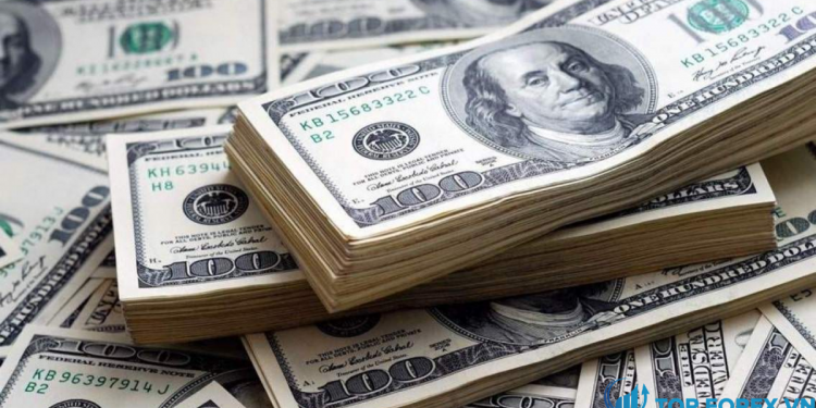 Dự báo giá đồng đô la Mỹ