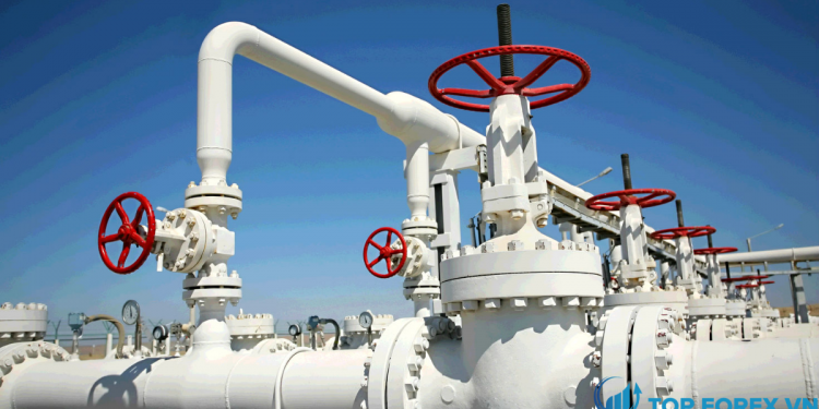 Dự báo giá khí đốt tự nhiên ngày 106