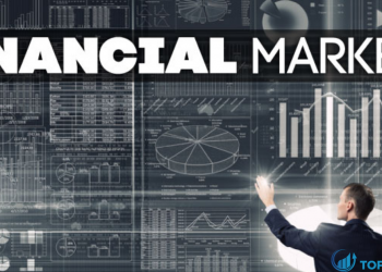 Chức năng và vai trò của thị trường tài chính đối với nền kinh tế