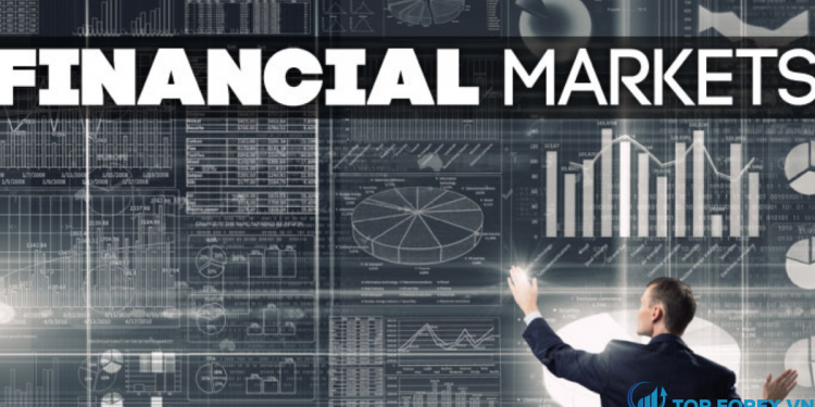 Chức năng và vai trò của thị trường tài chính đối với nền kinh tế