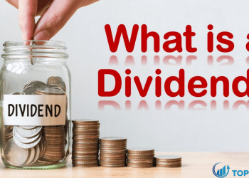 Cổ tức là gì Những điều cơ bản về cổ tức