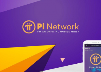 Đồng Pi network là gì Những điều cần biết trước khi đầu tư
