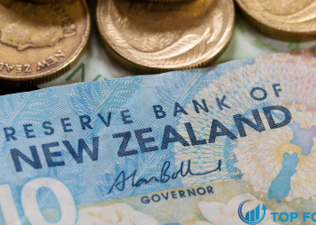 Dự báo về đô la New Zealand