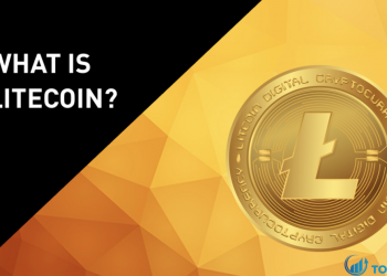 Litecoin là gì Litecoin hoạt động như thế nào