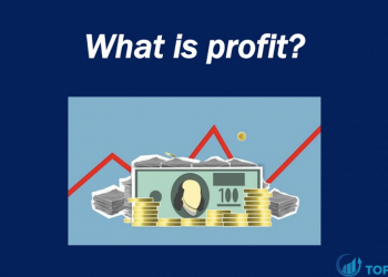Profit là gì Những điều cần biết về Profit