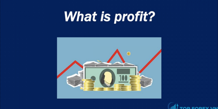 Profit là gì Những điều cần biết về Profit